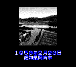 F1 screenshot 5 for Sega Mega Drive